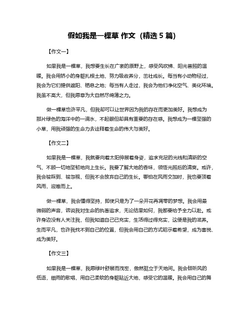 假如我是一棵草 作文(精选5篇)