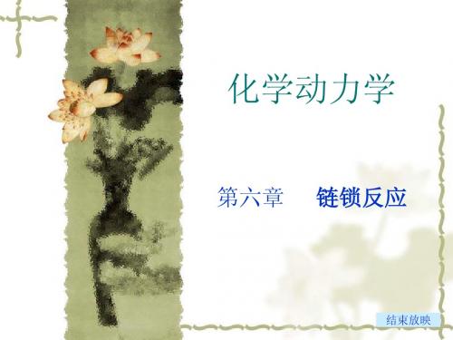 第六章 链反应1