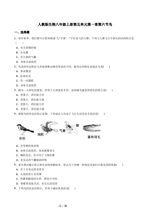 人教版八年级生物上册5.1.6鸟同步练习(含答案)