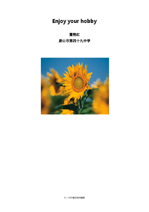 hobby教学设计