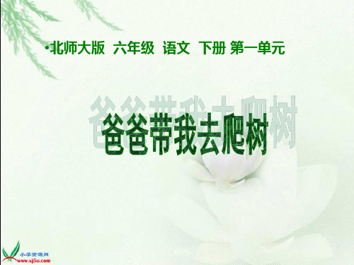 爸爸带我去爬树课件(北师大版六年级语文下册课件)