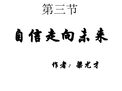 九年级政治自信走向未来