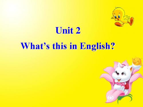 鲁教版6上Unit 2 What's this in English