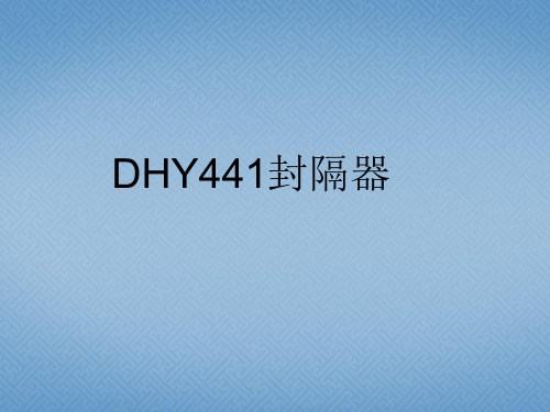 DHY441封隔器资料1