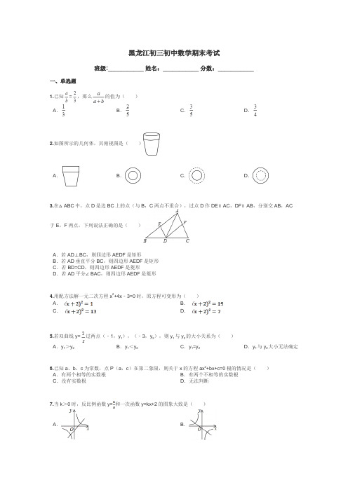 黑龙江初三初中数学期末考试带答案解析
