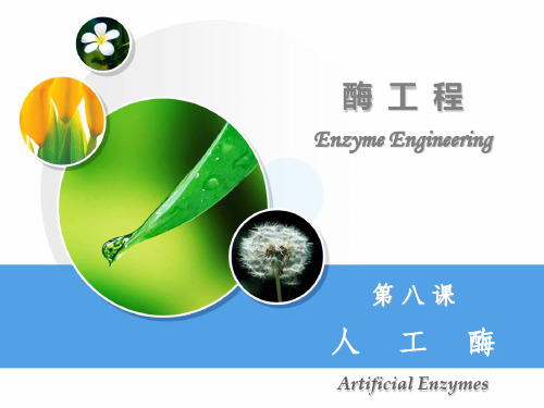 酶工程_08-人工酶