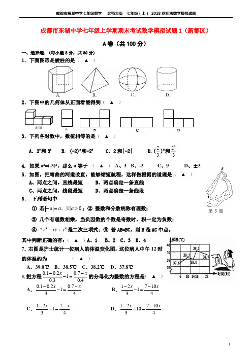成都市东湖中学七年级上学期期末考试数学模拟试题