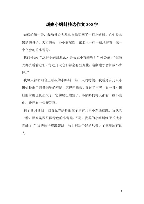 观察小蝌蚪精选作文300字