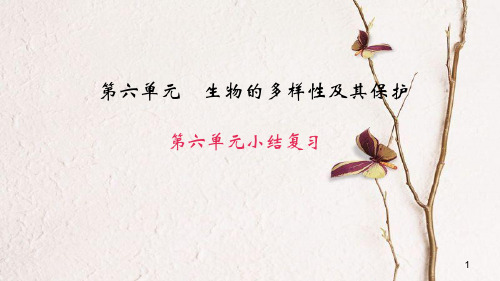 八年级生物上册 第六单元 生物的多样性及其保护小结复习课件 (新版)新人教版.pptx