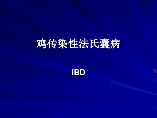 鸡传染性法氏囊病