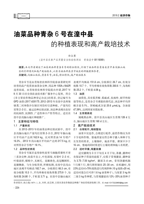 油菜品种青杂6号在湟中县的种植表现和高产栽培技术