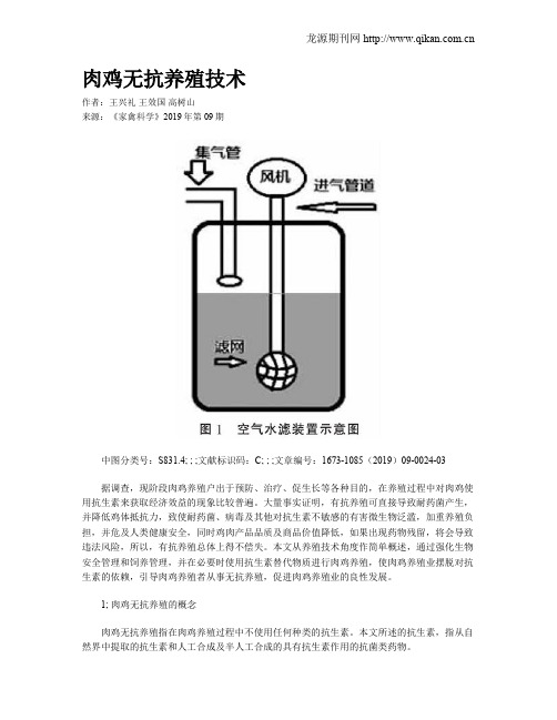 肉鸡无抗养殖技术