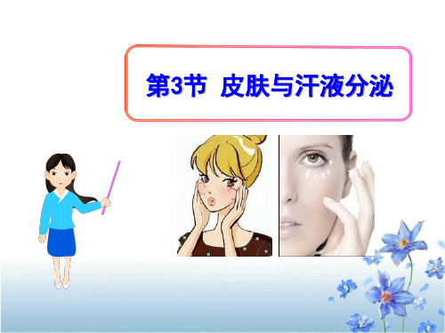 《皮肤与汗液分泌》PPT (共26张PPT)