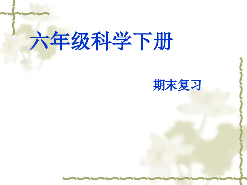 教科版六年级下册科学总复习 ppt课件