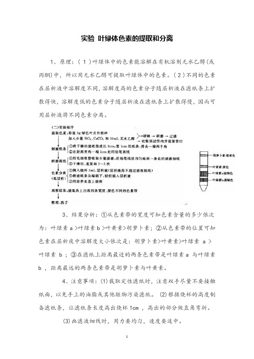 高中生物实验叶绿体色素的提取和分离