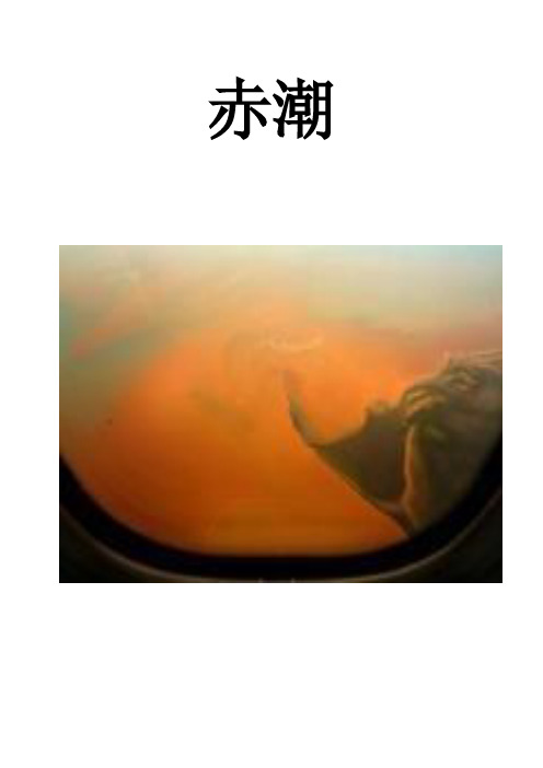 赤潮