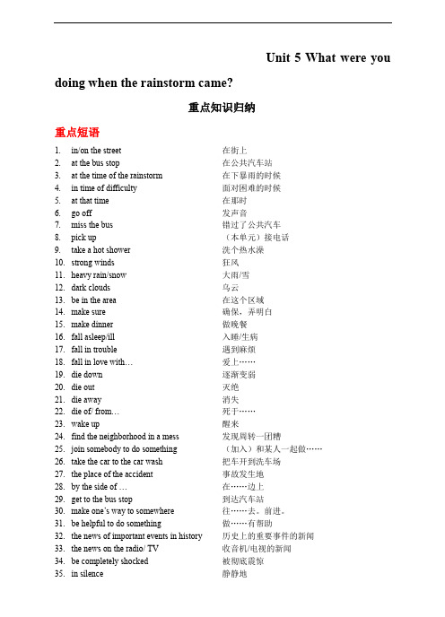 新目标八年级下Unit5 What were you doing when the rainstorm came重点知识归纳.doc