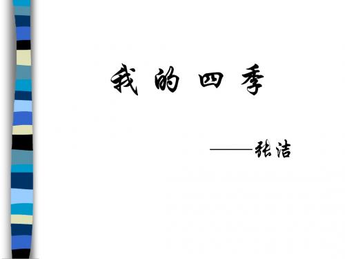 我的四季