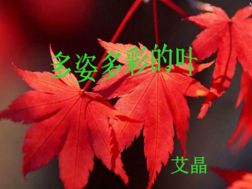 2.多彩布艺世界