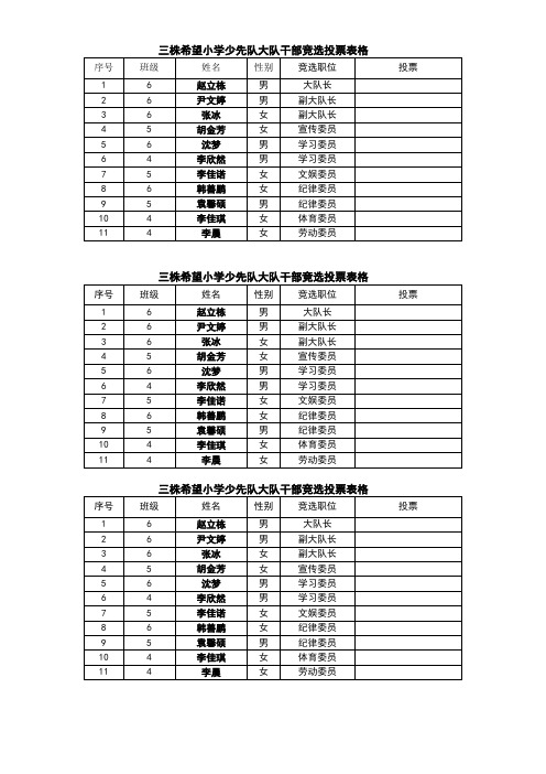 少先队大队干部竞选投票表格