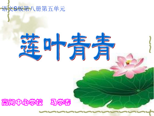 《莲叶青青》课件