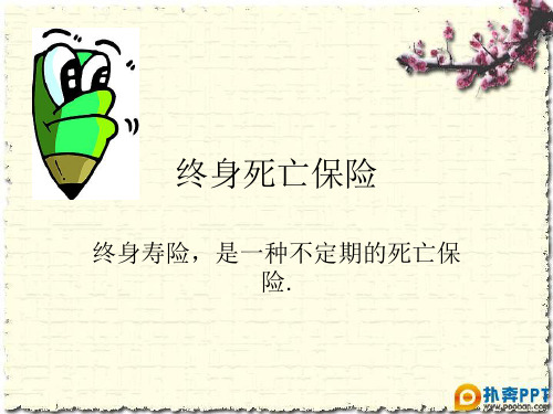 终身寿险