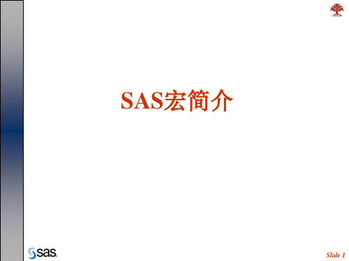 12. SAS宏简介