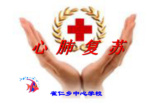 (新)红十字会初级救护员培训心肺复苏讲稿