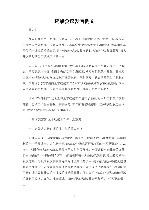 统战会议发言例文