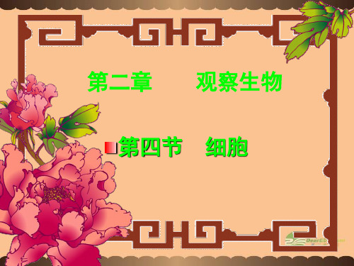 七年级科学上册 细胞(冷)课件 浙教版