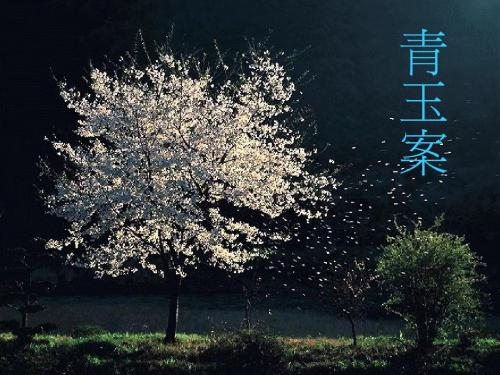 《青玉案》优秀课件