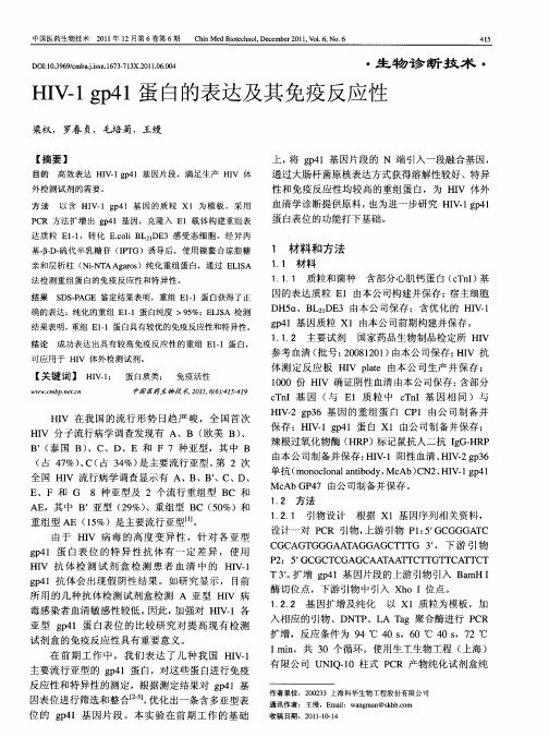 HIV-1 gp41蛋白的表达及其免疫反应性