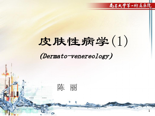 皮肤总论讲课1