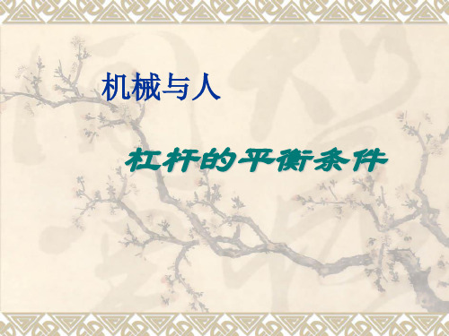 杠杆的平衡条件ppt3 沪科版