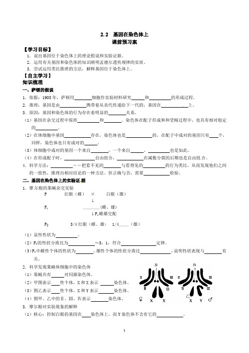 必修2导学案 2.2基因在染色体上