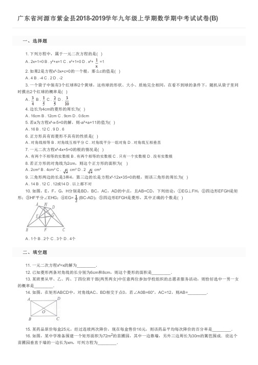 广东省河源市紫金县2018-2019学年九年级上学期数学期中考试试卷(B)及参考答案