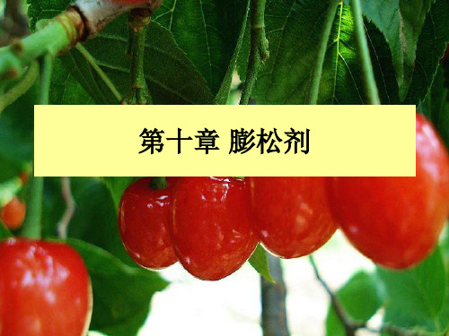 第十章 食品膨松剂.