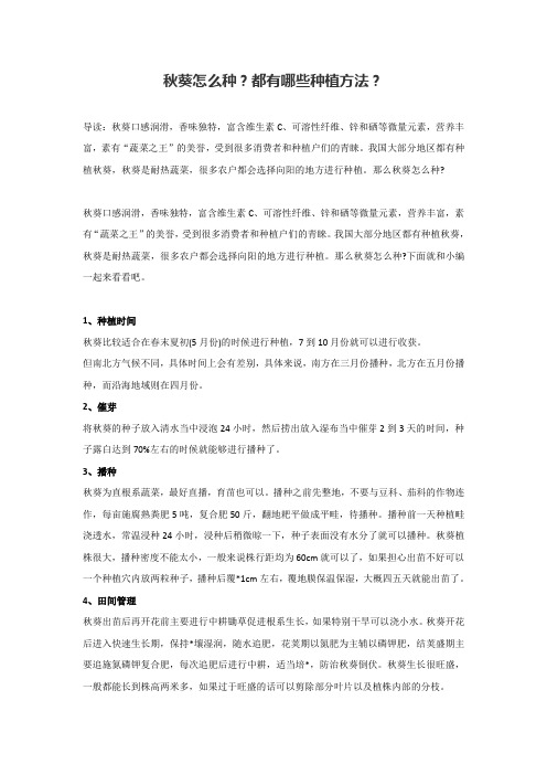 秋葵怎么种？都有哪些种植方法？