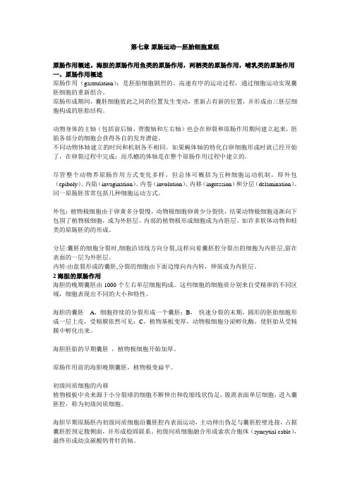 第七章原肠运动