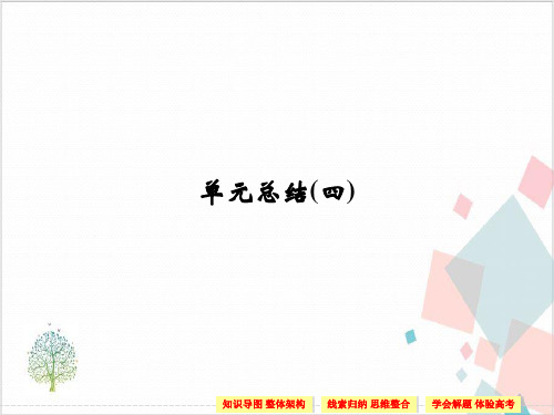新版《创新设计》历史人教版选修一-ppt下载16