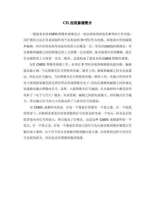 CIS应用原理简介