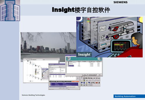 Insight软件介绍