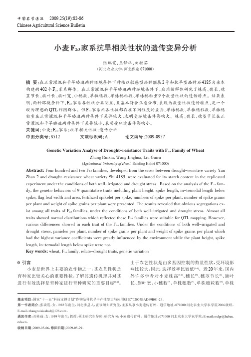 小麦F23家系抗旱相关性状的遗传变异分析