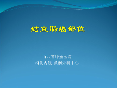 结直肠癌部位