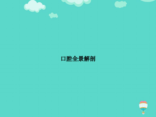【高质量】口腔全景解剖PPT文档