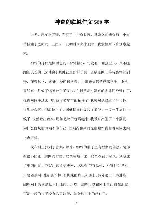 神奇的蜘蛛作文500字