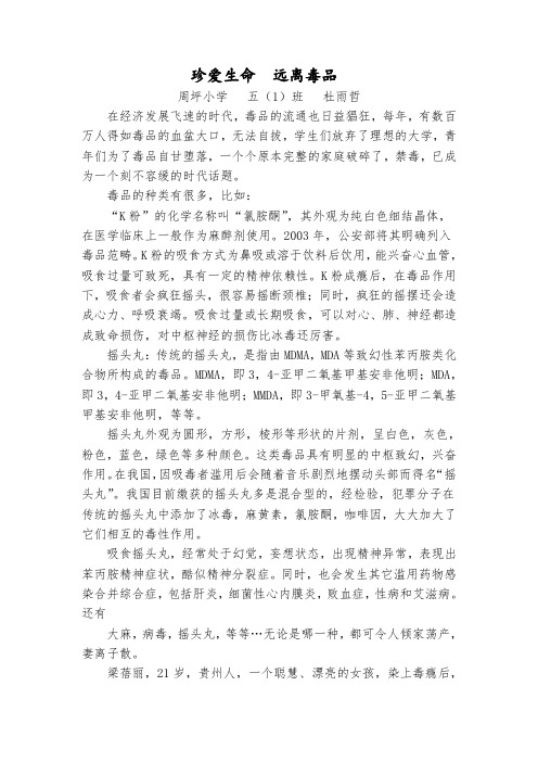 珍爱生命  远离毒品  杜雨哲