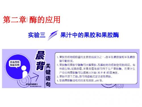 2018-2019学年 浙科版选修1 果汁中的果胶和果胶酶 课件(17张)