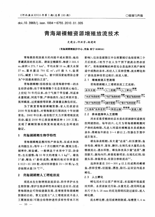 青海湖裸鲤资源增殖放流技术