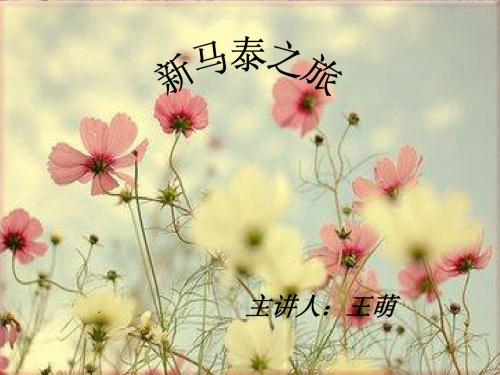 新马泰旅游